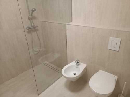 博德森特克DALGONA apartma Godler, Podčetrtek的带淋浴、卫生间和盥洗盆的浴室