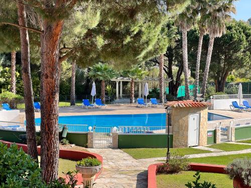 圣特罗佩罗马丽娜酒店的游泳池拥有棕榈树和蓝色椅子