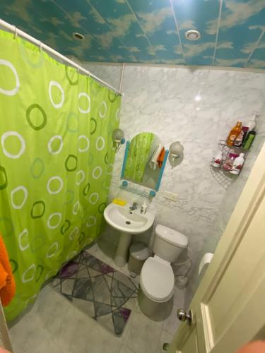 巴库My Home Guest House的一间带绿色淋浴帘和卫生间的浴室