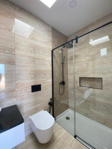 阿尔热祖尔Quinta do Planalto Vicentino - Casas de Campo的一间带卫生间和淋浴的浴室