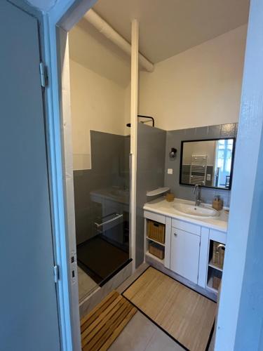 帕雷·勒·毛尼尔Appartement 6 personnes - Au coeur du centre ville的一个带水槽和镜子的小厨房