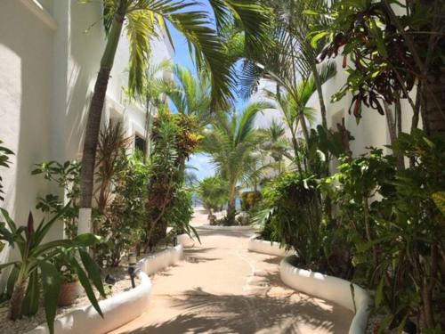 莫雷洛斯港Charming Sea Side Ocean Front Condo的棕榈树庭院和建筑