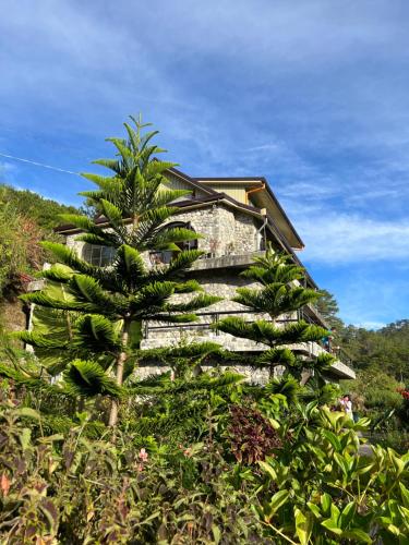 萨加达The Shire of Sagada的房屋前的棕榈树