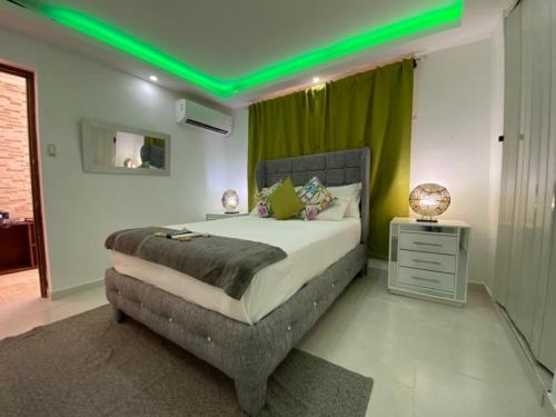苏莎亚Room in Guest room - Cozy 1bd with common Jacuzzi的一间卧室设有一张带绿色天花板的床。