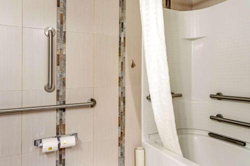 希克斯维尔希克斯维尔伊克诺旅店的带淋浴、浴缸和卫生间的浴室