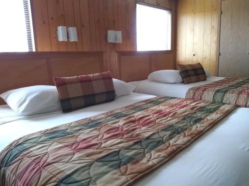 星期五港虎鲸旅馆的两张睡床彼此相邻,位于一个房间里