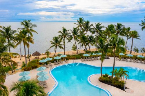 伊斯拉莫拉达阿马拉岛度假酒店的享有棕榈树和遮阳伞的度假村游泳池的空中景致