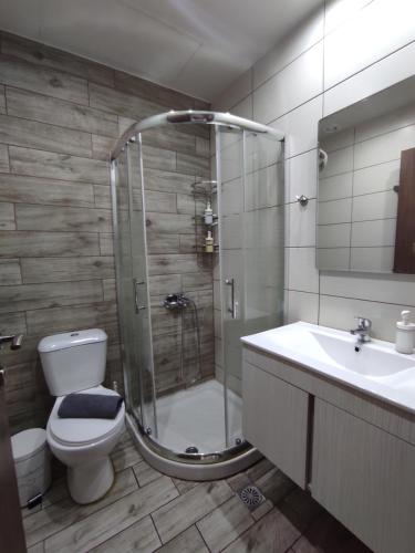 StérnaiVilla Asterousia的带淋浴、卫生间和盥洗盆的浴室