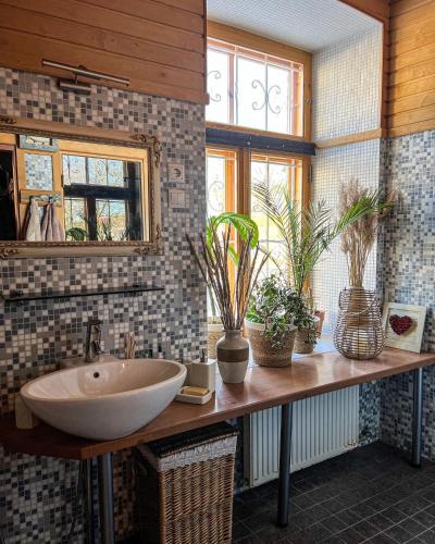 拉克韦雷Spacious 1-bedroom apartment with Sauna的浴室设有水槽和盆栽植物