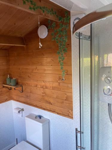 罗斯林Roslin Glamping的一间带卫生间和木墙的浴室