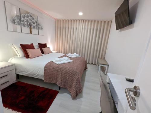 普拉亚达巴拉Silvaapartments的一间卧室配有一张大床和电视