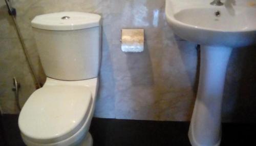 加姆波勒Leaf Guest House的浴室配有白色卫生间和盥洗盆。