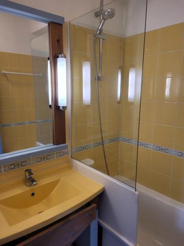 马翁普拉日堡Village Belle Dune Fort-Mahon plage的浴室配有盥洗盆和带镜子的淋浴