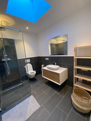 多恩比恩Wohnung Staufenblick und Wohnung Firstblick的浴室配有卫生间、淋浴和盥洗盆。
