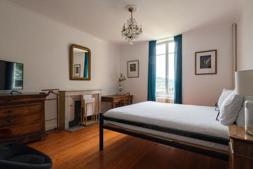 尼翁La Viste - SPA-JACUZZI - MASSAGE- SAUNA - 4 SAISONS - Piscine Chauffée Toute l'année - Heated POOL - 800m City Centre的一间卧室配有一张床、一个壁炉和一个吊灯。