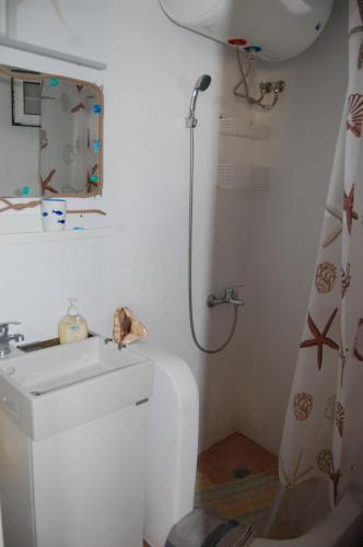 AloproniaCOSY STUDIO IN ALLOPRONOIA SIKINOS的一间带水槽和淋浴的浴室