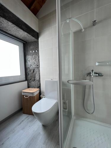 拉日什杜皮库Casa do Craveiro的一间带卫生间和淋浴的浴室