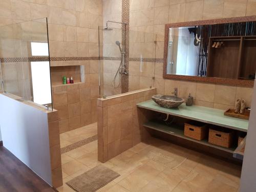 蔻立异国精品山林小屋的带淋浴、盥洗盆和镜子的浴室