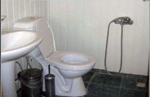 奥林波斯柏拉姆斯树之家酒店的浴室配有白色卫生间和盥洗盆。