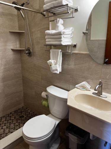 北怀尔德伍德Condor Motel - Beach Block的一间带卫生间、水槽和镜子的浴室