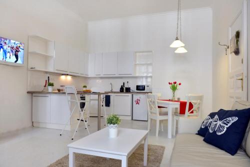 巴黎公寓的厨房或小厨房