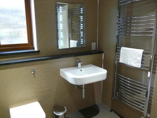 彭里斯Cherry Lodge的一间带水槽和镜子的浴室