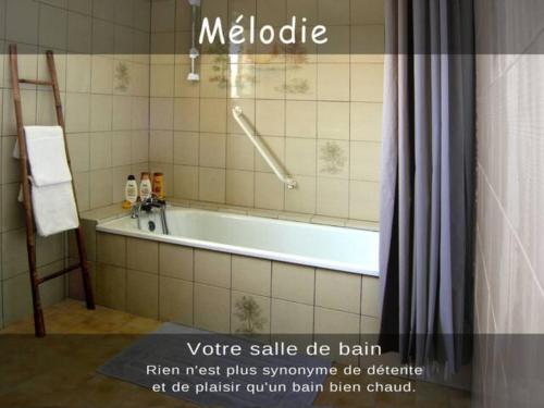 贝布尔河畔东皮耶尔Mélodie lumineuse et spacieuse à 6km du Pal的设有带浴缸和淋浴的浴室。