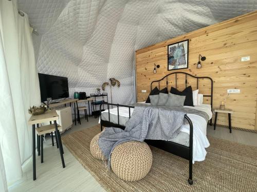科斯蒂内什蒂Maison du golf的一间卧室配有一张床、一张书桌和一台电视