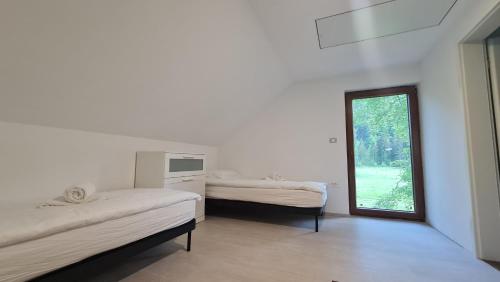 佐尔尼耶戈迪Radovna Mountain Valley Cottage的白色的客房设有两张床和窗户。