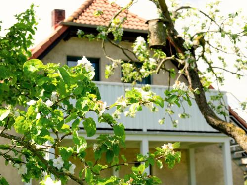 施托尔佩奥夫乌塞多姆Ferienwohnung Rohlffs Stolpe auf Usedom的白色屋顶和树屋