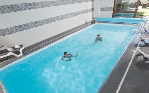 塞纳河畔罗米伊Nicey - Hôtel Spa, Lounge, Coworking的两人在游泳池游泳