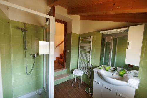 内格拉尔Manfredi B&B的一间带水槽和淋浴的浴室