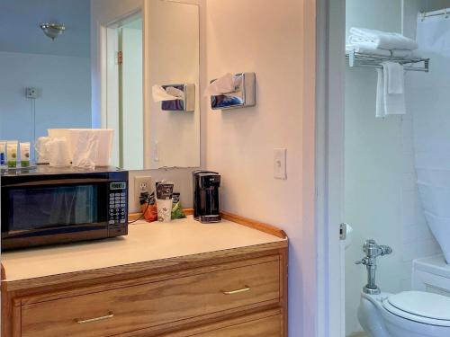奥马克Rodeway Inn & Suites Omak - Okanogan的浴室内一个微波炉,放在柜台上