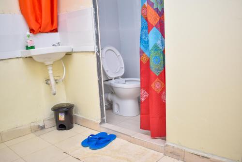 奈瓦沙Luna Light Guest House的一间带卫生间和水槽的浴室