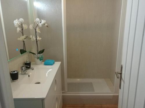 蒙蒂戈杜Casa ao Mar的浴室配有白色水槽和淋浴。