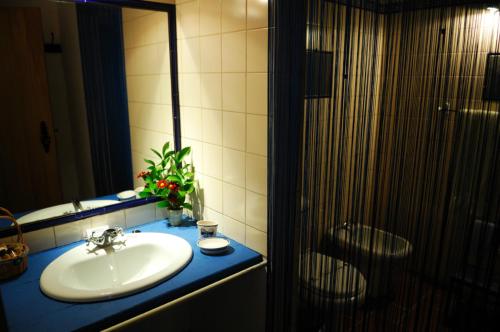 圣特奥托纽塞希拉乡村民宿的一间带水槽、镜子和淋浴的浴室