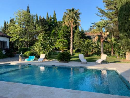 穆然Carpe Diem paradise的一个带白色椅子和棕榈树的游泳池