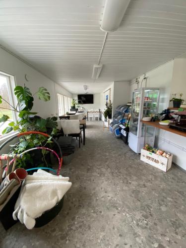 新考蓬基Santtioranta Camping的车库里一个种植植物的空房间