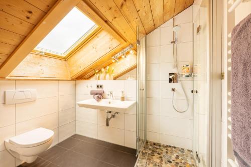 奥伯斯特多夫Aparthotel Weinklause Superior的浴室配有卫生间水槽和淋浴。