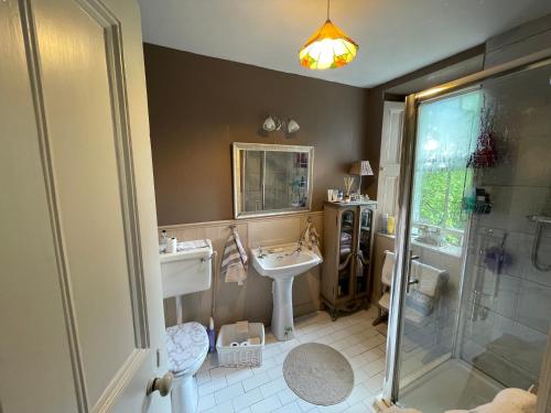 穆林加尔Glenmore House B&B Mullingar的一间带水槽和淋浴的浴室