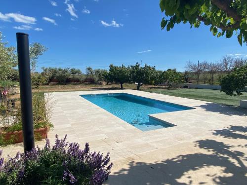 维拉塞加德索尔辛纳Mas Les Oliveres的一座鲜花盛开的庭院内的游泳池