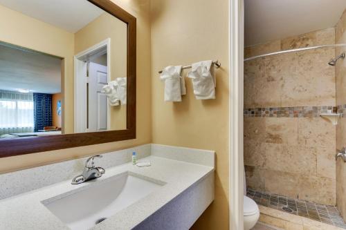 阿兰瑟斯港首领总部旅馆的一间带水槽、卫生间和镜子的浴室