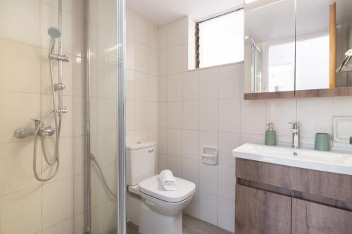 阿利卡纳斯Arokaria apartment的带淋浴、卫生间和盥洗盆的浴室