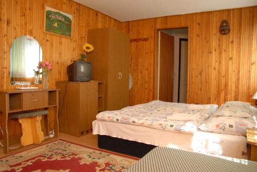 贝拉帕法瓦Bélkő Panzió的一间卧室配有一张床和一台电视