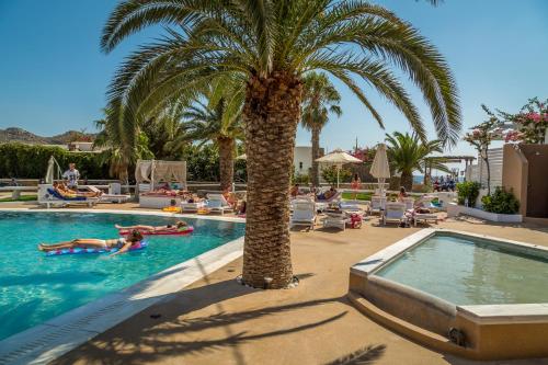 迈洛波塔斯艾吉恩酒店的游泳池旁的棕榈树,里面的人
