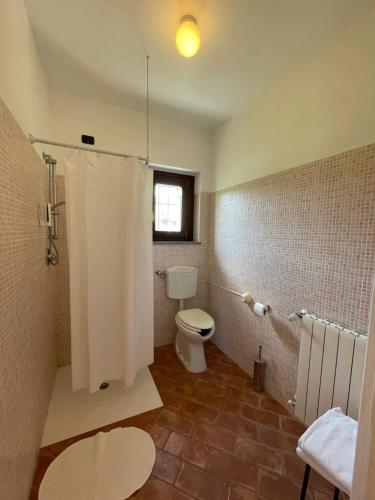 帕维亚卡希纳莫拉农庄酒店的一间带卫生间和淋浴及窗户的浴室