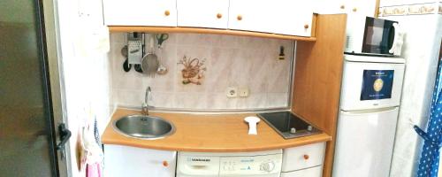 滨海罗克塔斯Estudio Frente Al Mar的小型厨房配有水槽和微波炉