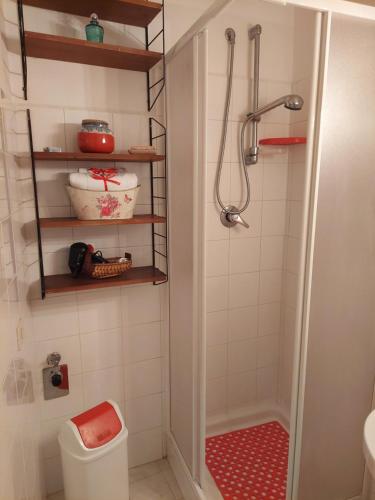 布拉恰诺Casa Vacanze Central的带淋浴和卫生间的浴室
