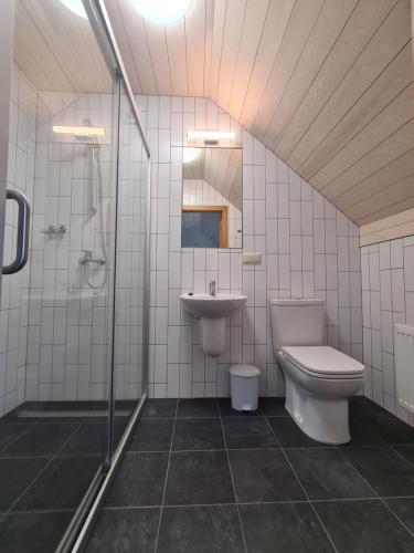 罗亚Viesu nams UPE的浴室配有卫生间、盥洗盆和淋浴。