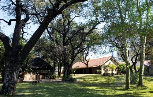 帕拉博鲁瓦太阳鸟旅舍的前面有树木的院子的房子